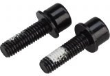 Болти кріплення каліпера Flat Mount Mounting bolt 24 мм, (2 шт)
