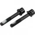 Болти кріплення каліпера Flat Mount Mounting Bolt 42 мм, (2 шт) Болти кріплення каліпера Flat Mount Mounting Bolt 42 мм, (2 шт)