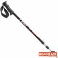 Трекинговые палки LEKI Eagle Трекинговые палки LEKI Eagle