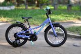 Велосипед 16" Trek PRECALIBER GIRLS FW (ручні гальма), фіолетовий