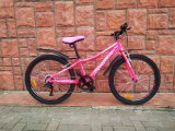 Велосипед 24" Spelli ACTIVE GIRL, рожевий