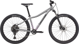 Велосипед 27.5" Cannondale TRAIL 5 Feminine, 2021, сірий