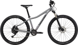 Велосипед 29" Cannondale TRAIL 5 Feminine, 2021, сірий