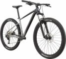 Велосипед 29" Cannondale TRAIL SE 4, 2021, серо-черный
