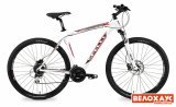 Найнер для кросс-кантри 29" Spelli SX-6500 29ER Найнер для кросс-кантри 29" Spelli SX-6500 29ER