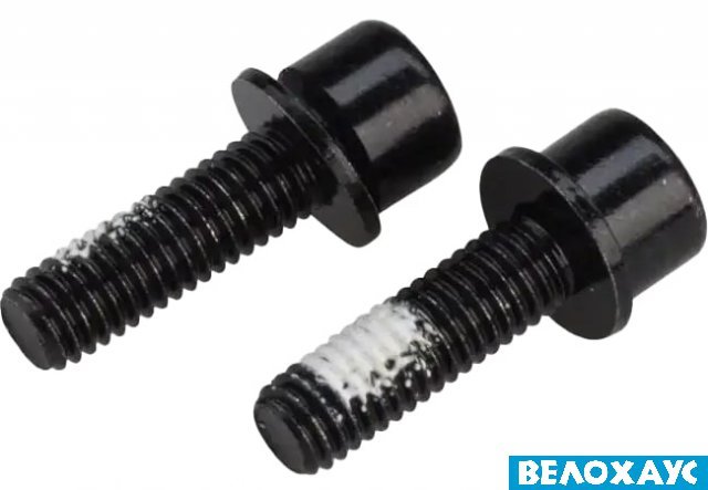 Болти кріплення каліпера Flat Mount Mounting bolt 24 мм, (2 шт)