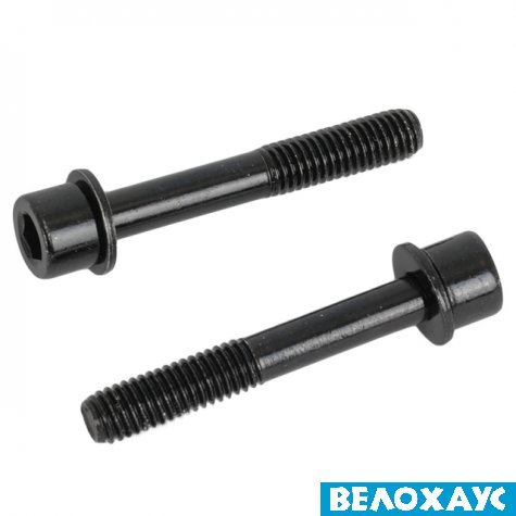 Болти кріплення каліпера Flat Mount Mounting Bolt 37 мм, (2 шт)