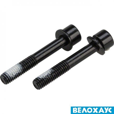 Болти кріплення каліпера Flat Mount Mounting Bolt 42 мм, (2 шт)