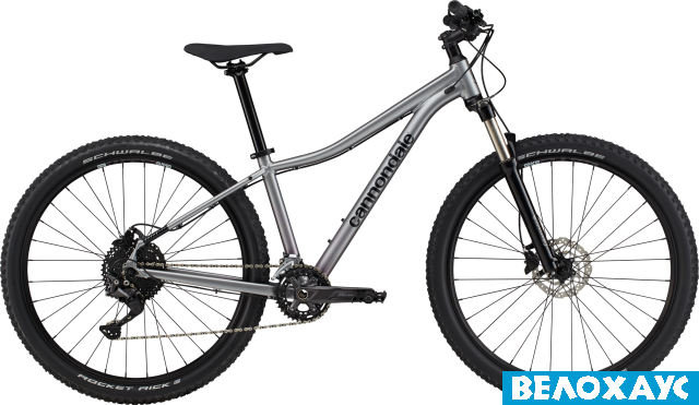 Велосипед 29 Cannondale TRAIL 5 Feminine, 2021, сірий