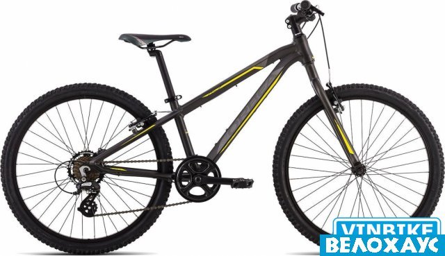 Подростковый велосипед Orbea MX 24 Dirt