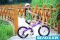 Дитячий велосипед 16 RoyalBaby Honey