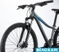 Велосипед 29 Cannondale TANGO 4 Feminine (2020), ELB
