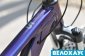 Велосипед 29 Trek MARLIN 5 WSD фіолетовий